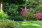 Glastonburylandscape-gardener-46.jpg; ?>