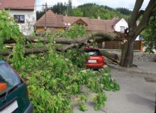Kwikfynd Tree Cutting Services
glastonbury