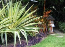 Kwikfynd Tropical Landscaping
glastonbury